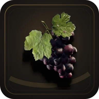 Grapes, Item in Gothic 1 Remake