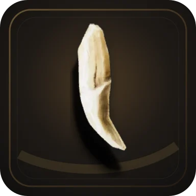 Teeth, Item in Gothic 1 Remake